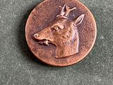 une image représentant une pièce de monnaie sur laquelle figure une tête de chien