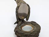 a bird that is sitting on top of a mirror