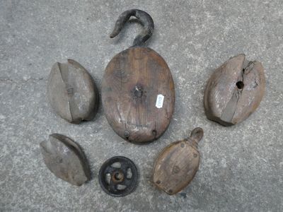 plusieurs morceaux de bois sont disposés en cercle sur une surface en béton