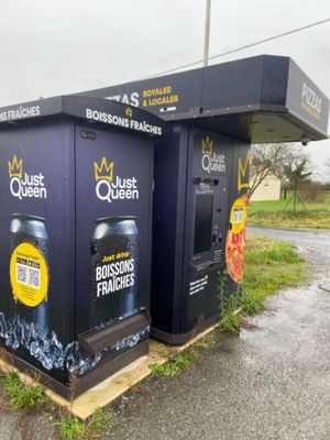 deux poubelles posées au bord de la route