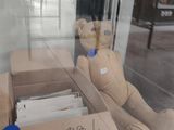 un ours en peluche assis dans la vitrine d'un magasin