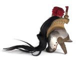 an image of a helmet with a long black hair on a white background
