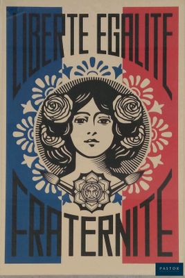 l'image d'une affiche avec un visage de femme