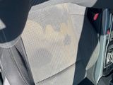a dog that is sitting in the back seat of a car
