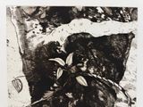 dessin représentant un homme à cheval, en noir et blanc