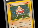 une image d'une carte Pokémon dans un étui en plastique
