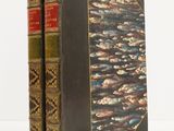 two books sitting on top of each other on a white surface