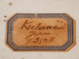 a close up of a piece of paper with writing on it