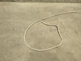 an image of a hose laying on a concrete surface