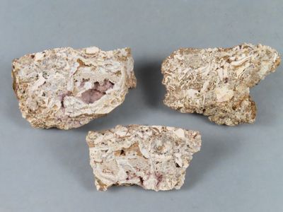 trois morceaux de roche posés sur une surface grise, dont l'un manque