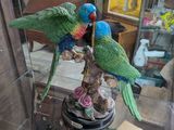 two birds that are sitting on top of a table