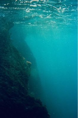 vue sous-marine d'une personne nageant dans l'océan avec une planche de surf