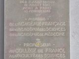 Photo 2/2 du lot
