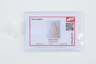 une photo d'une carte d'identité en plastique sur laquelle figure la photo d'une femme