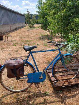 a blue bicycle that is parked next to a tree