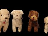 quatre chiens en peluche sont alignés sur une rangée devant un fond noir