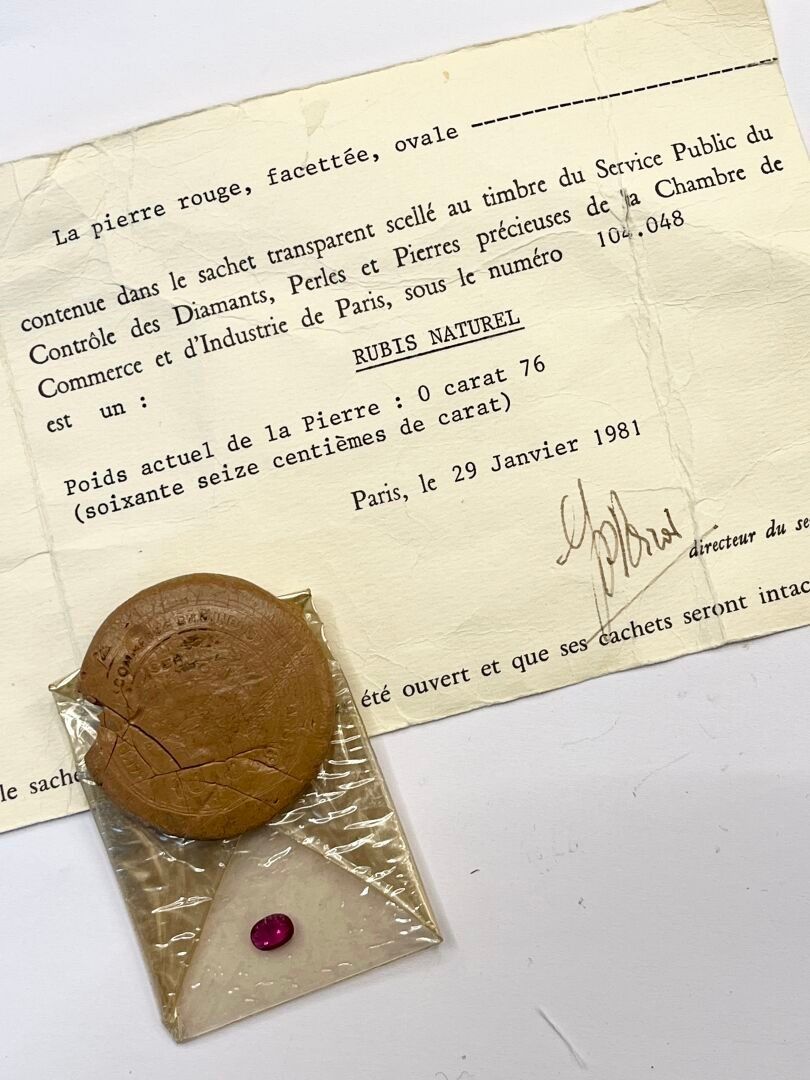 RUBIS en blister de la chambre du commerce et de l'industrie…