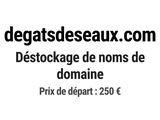 Photo 1/1 du lot