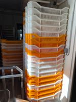 Environ 50 caisses plastiques