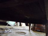 un chat assis sous une table