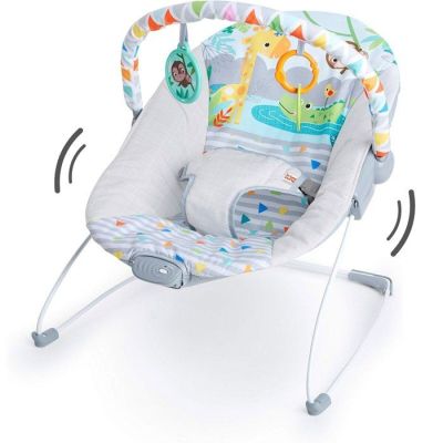 572 / Transat pour bébé - BRIGHT STARTS - Safari Fun™ …