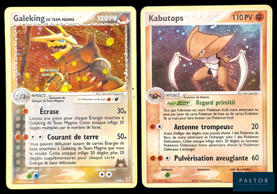 deux cartes Pokémon présentant des motifs différents sur un fond noir