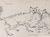 a drawing of a cat and a bird on a table