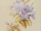 a painting of flowers on a white background with a brown border
