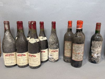 plusieurs bouteilles de vin sont alignées sur une table