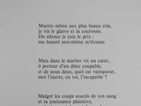 Photo 2/5 du lot
