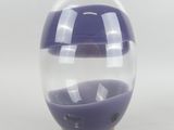 une image représentant un vase en verre contenant un liquide violet