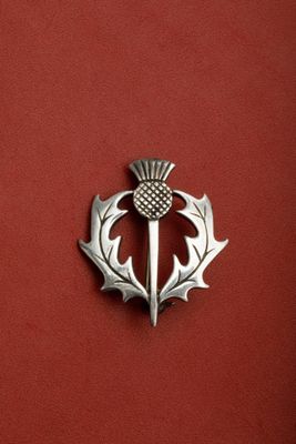 Broche en argent 925 millièmes figurant un chardon Poids: 5,…
