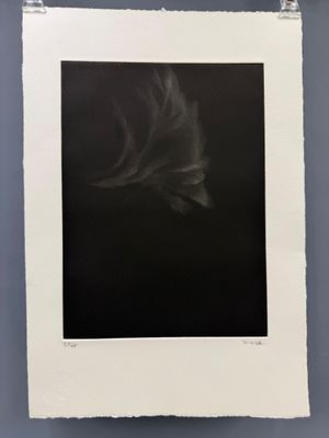 l'image d'une photographie en noir et blanc accrochée à un mur