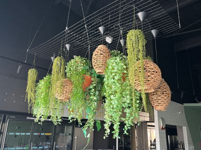de nombreuses plantes suspendues au plafond d'un restaurant