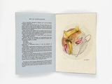 un livre ouvert sur lequel est dessiné un chat