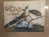 a picture of two birds sitting on a branch of a tree