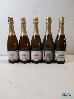 six bottles of champagne lined up in a row on a table