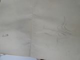 un dessin représentant un oiseau sur une feuille de papier