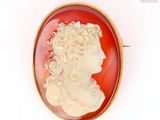 a close up of a woman ' s profile in a red cameo broocher
