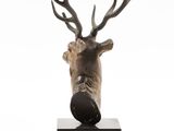 the head of a deer with antlers on a black base
