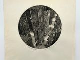 Photo 2/9 du lot