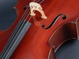 a close up of a violin on a black background