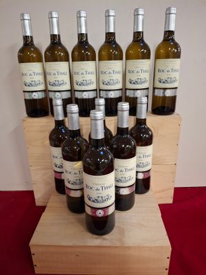 12 Bouteilles Château Roc de Thau 2014 Blanc Sémillon Sauvignon Gris M - Photo 1