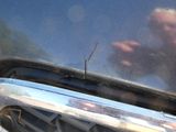 un insecte posé sur le capot d'une voiture