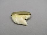 une photo d'une broche en forme de dent de requin