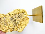 une pépite d'or tenue par une personne