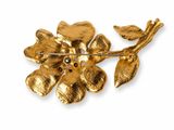 golden flower brooch with black stones on a white background