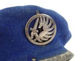 a blue hat with a silver emblem and a bird on it