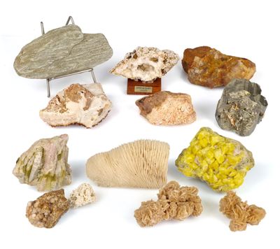 many different types of rocks on display on a white surface