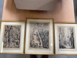 trois photos encadrées représentant des arbres et un banc dans une pièce